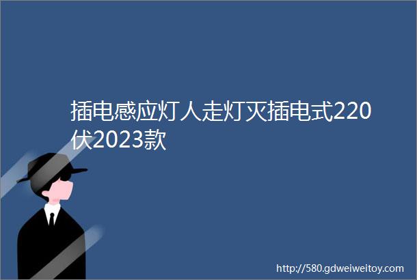 插电感应灯人走灯灭插电式220伏2023款